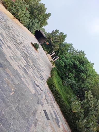 عکس پارک کروکودیل نوپک قشم