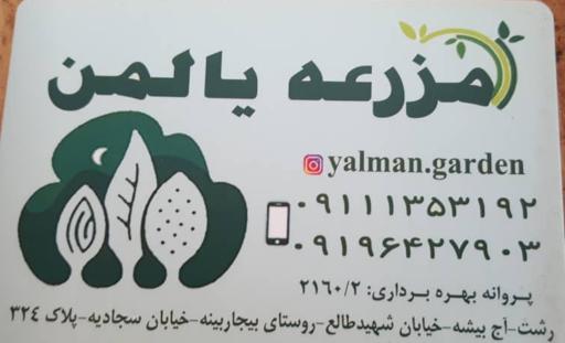 عکس مزرعه یالمن