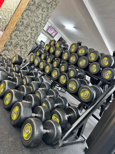 عکس باشگاه بدنسازی رادین