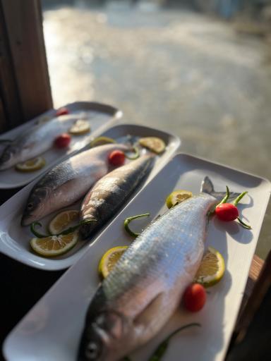 عکس رستوران شاه‌کولی