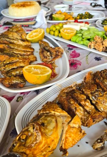 عکس رستوران شاه‌کولی