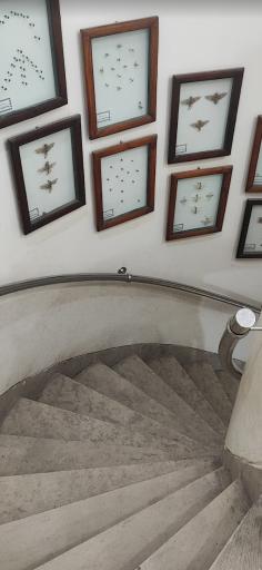 عکس موزه علم و طبیعت اهواز