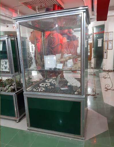 عکس موزه علم و طبیعت اهواز