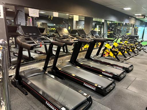 عکس باشگاه بهار امینی