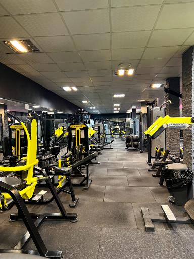 عکس باشگاه بهار امینی