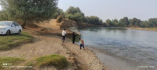 عکس بیشه 