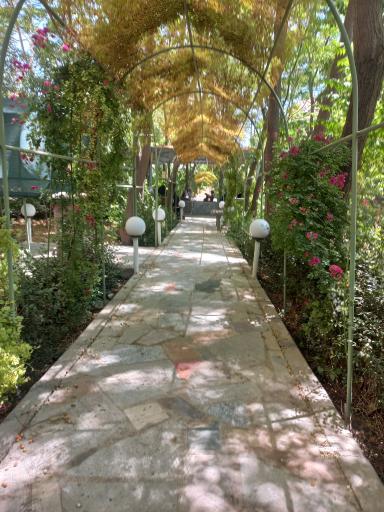 عکس دانشگاه معارف قرآن و عترت