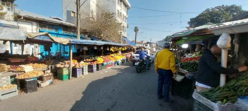 عکس بازار تره بار و میوه جات