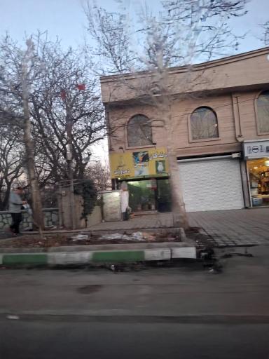 عکس پرندگان زینتی دماوند