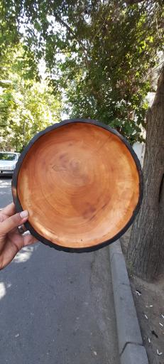 عکس آرتمیس گالری