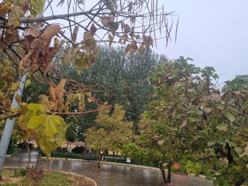 عکس پارک قلمستان