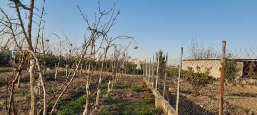 عکس مجتمع پارس‌گیاه‌شمال