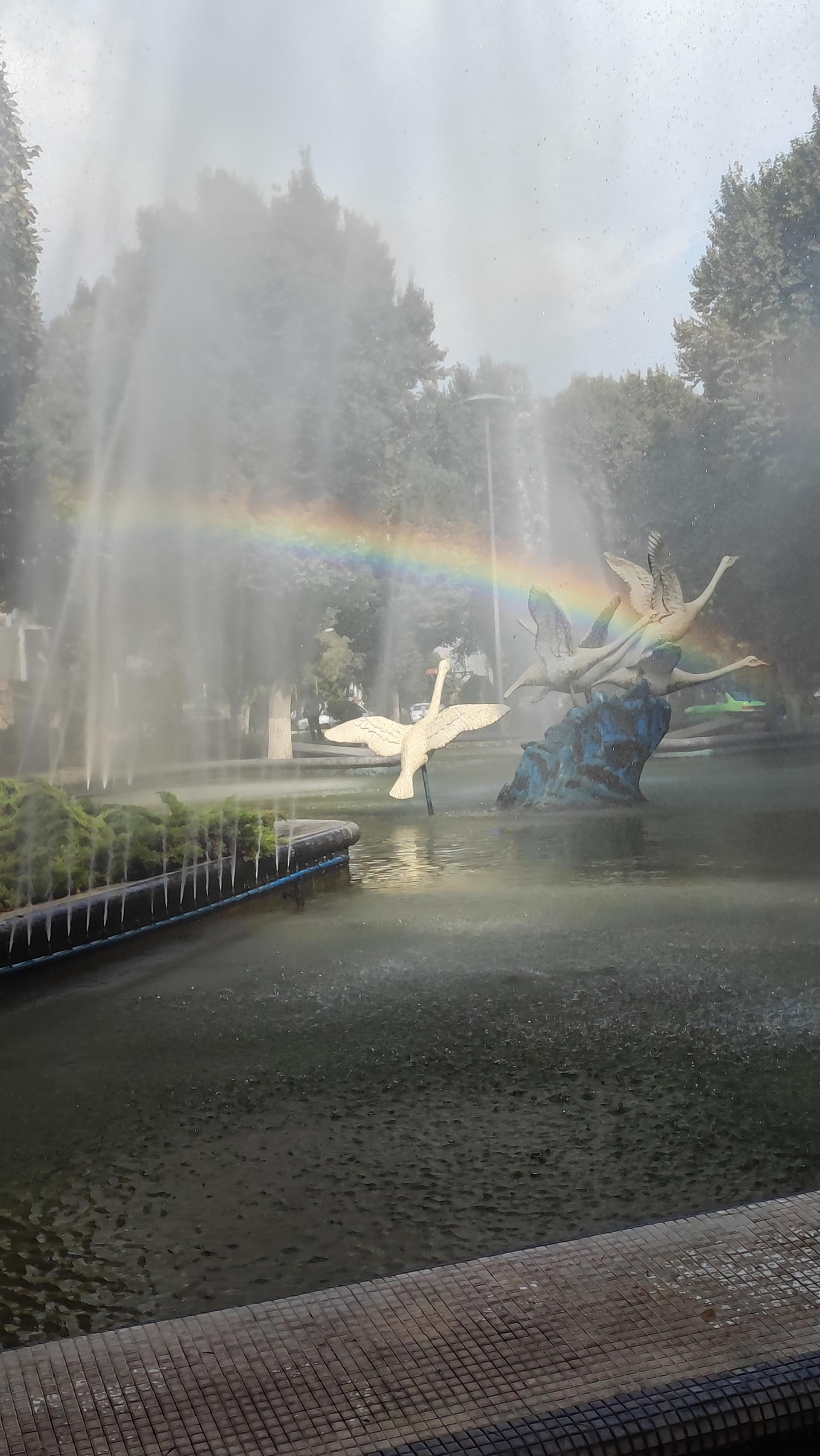 عکس آبنما میدان هلال احمر 