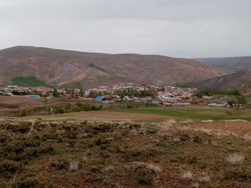 عکس استلج