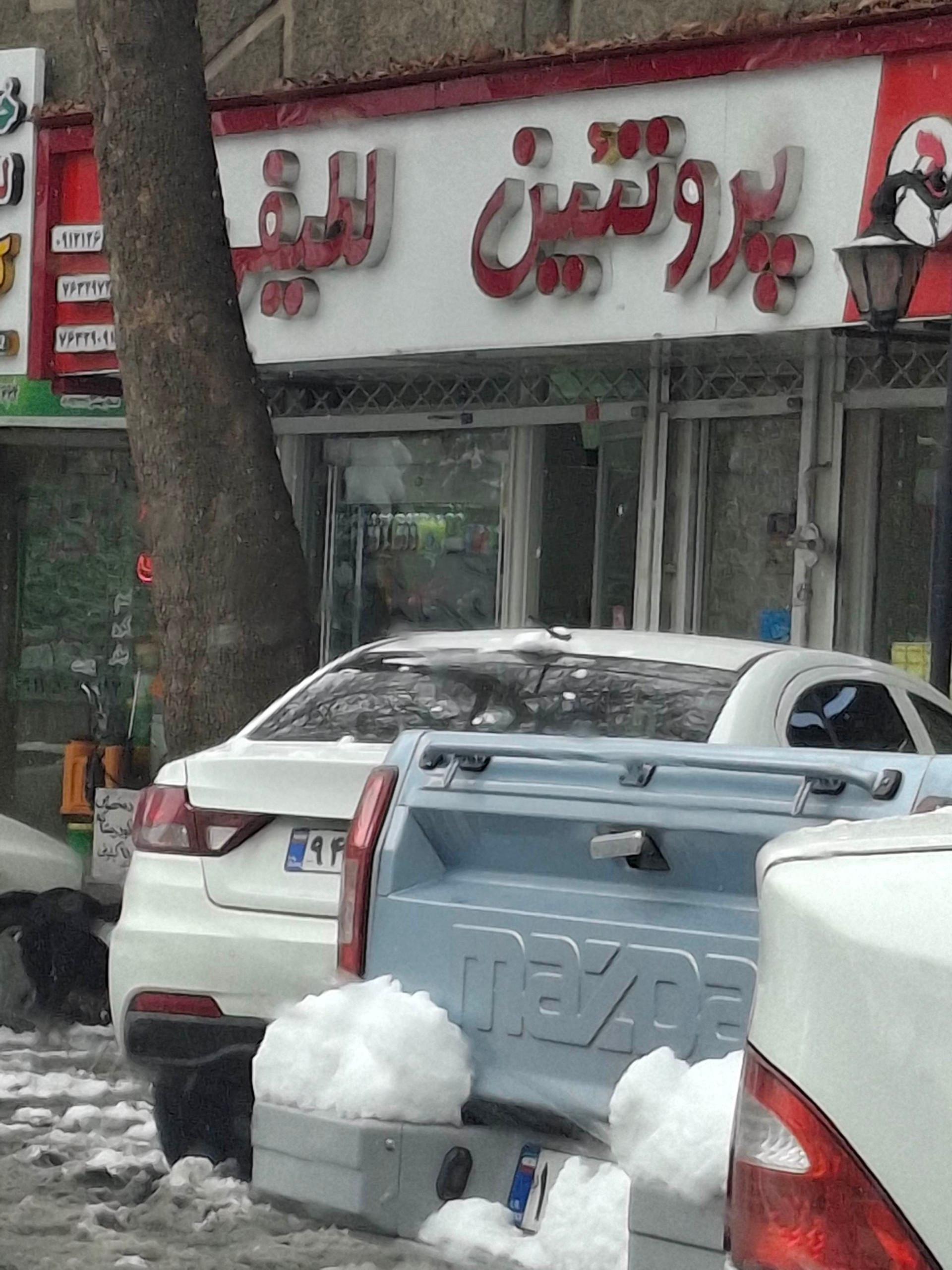 عکس پروتئین لطیفی