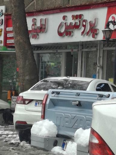 عکس پروتئین لطیفی