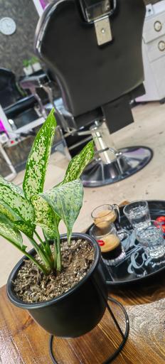 عکس پیرایش مردانه باربرمن