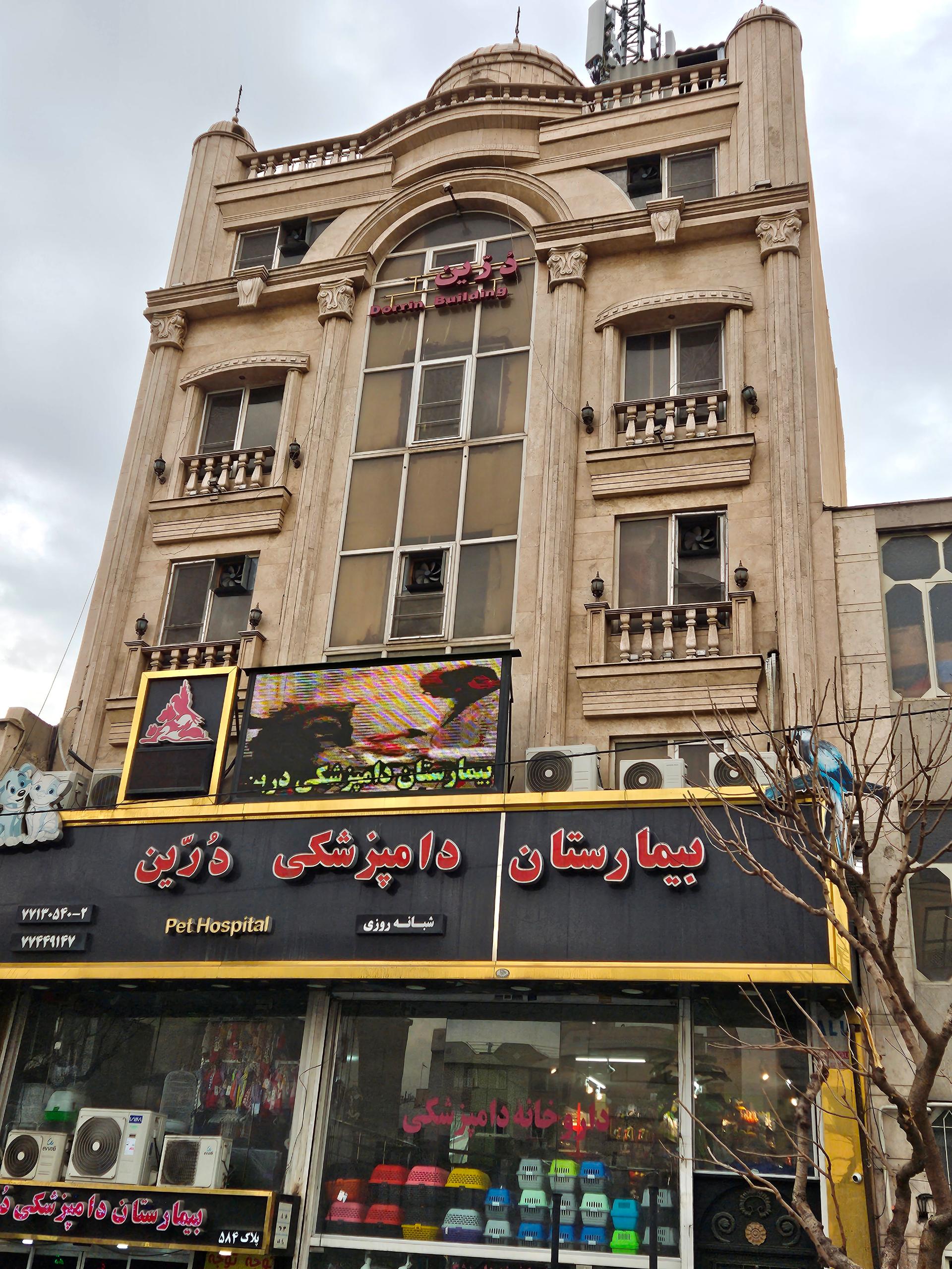 عکس بیمارستان دامپزشکی شبانه روزی درین