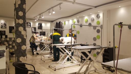 عکس بیمارستان دامپزشکی شبانه روزی درین