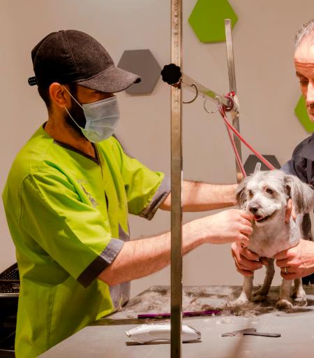 عکس بیمارستان دامپزشکی شبانه روزی درین