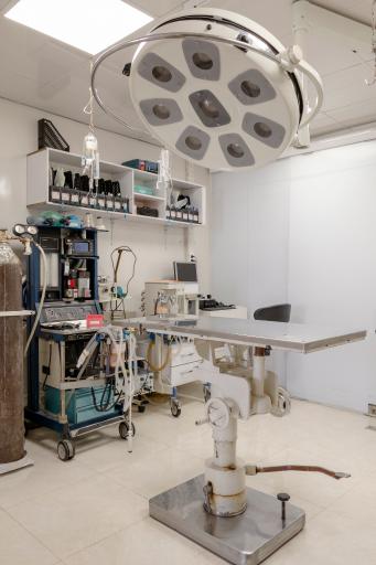 عکس بیمارستان دامپزشکی شبانه روزی درین