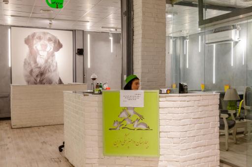 عکس بیمارستان دامپزشکی شبانه روزی درین