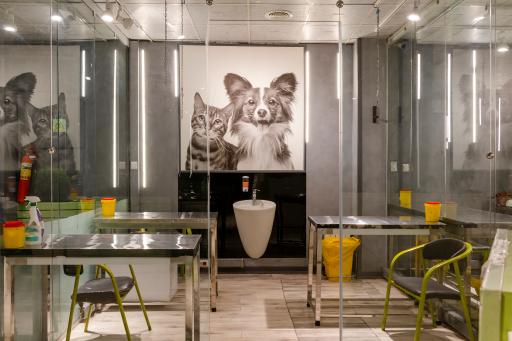 عکس بیمارستان دامپزشکی شبانه روزی درین