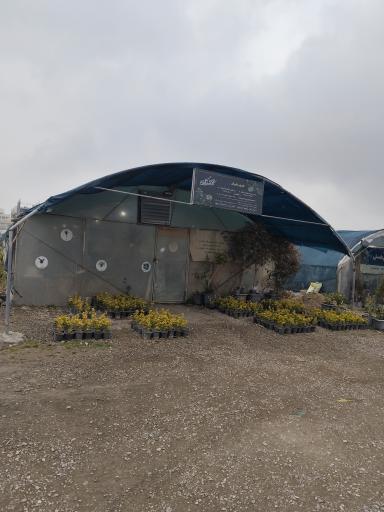 عکس گلسرای آقای گل