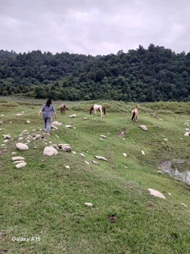 عکس پارکینگ آبشار اسکلیم