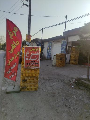 عکس مرغ فروشی زنده حمید