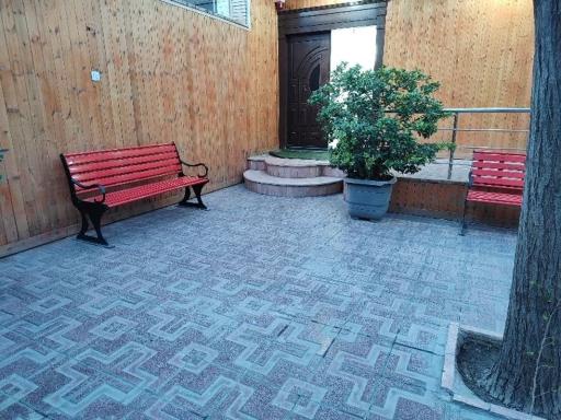 عکس سونوگرافی و رادیولوژی مهرآفرین 