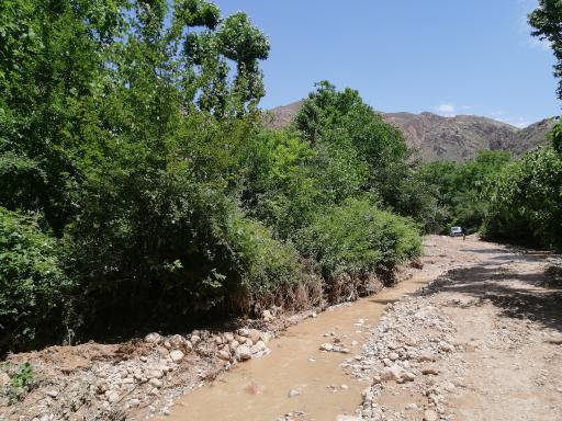 عکس پا قلعه