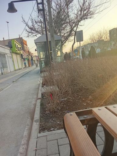 عکس  طبرسی شمالی 4