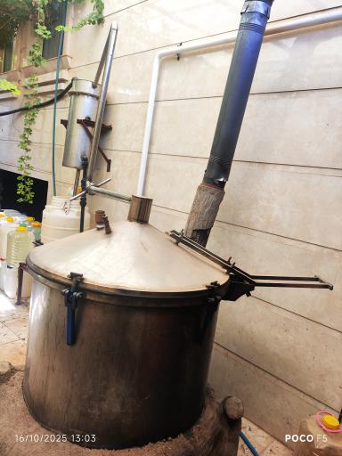 عکس کارگاه گلاب گیری گل سرخ