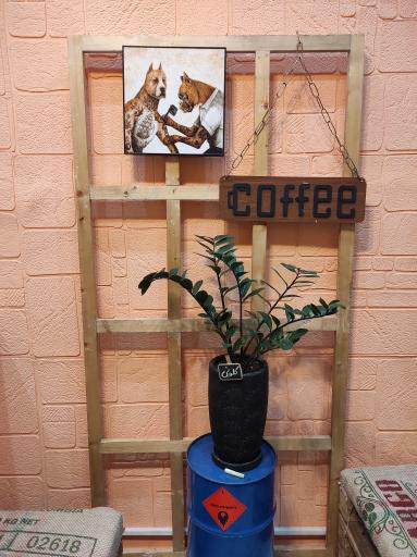 عکس قهوه کلونی