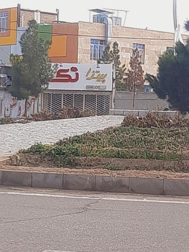 عکس پیتزا تک