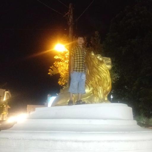 عکس شیر سنگی