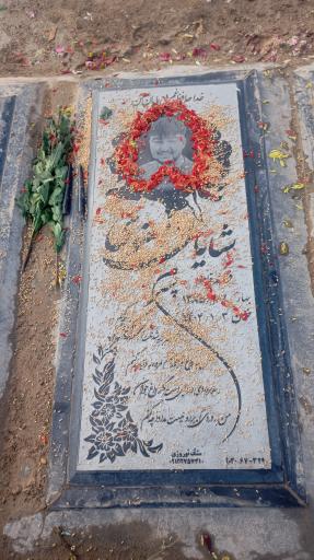 عکس مزار شایان معنوی