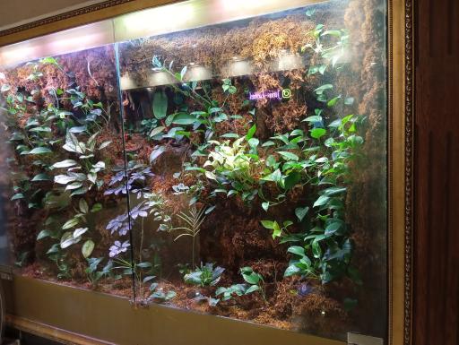 عکس هتل جم مشهد