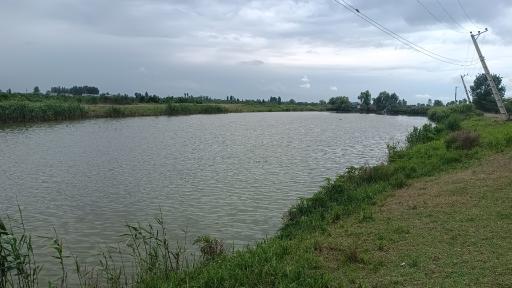 عکس آب بندان پشت سیم 