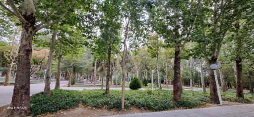 عکس مجموعه ورزشی باغ غدیر