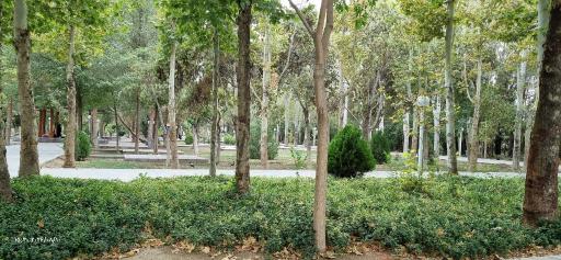 عکس مجموعه ورزشی باغ غدیر