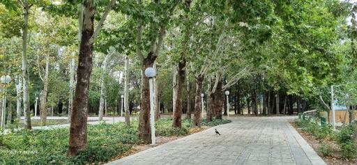 عکس مجموعه ورزشی باغ غدیر