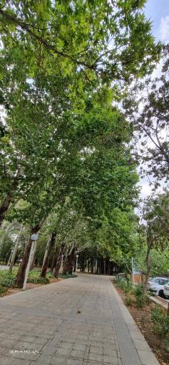 عکس مجموعه ورزشی باغ غدیر
