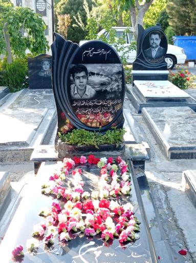 عکس قطعه 255 نام آوران