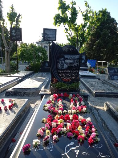 عکس قطعه 255 نام آوران