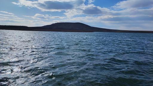 عکس شیرین سو