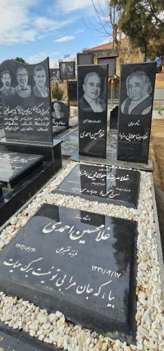 عکس قطعه 255 نام آوران