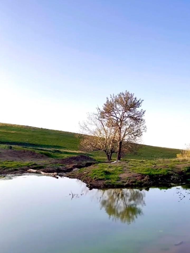 عکس برکه طبیعی