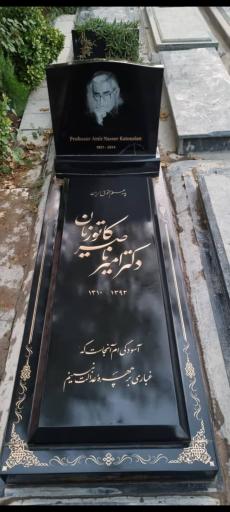 عکس قطعه 255 نام آوران